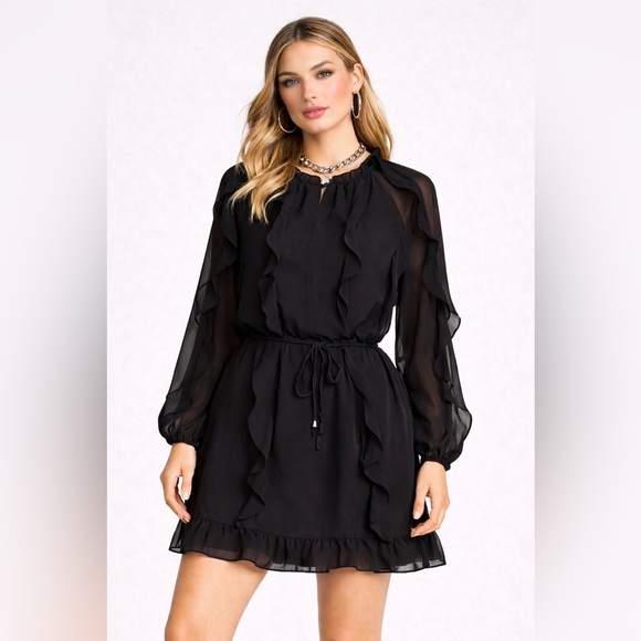 Time and Tru Dresses & Skirts - Time & Tru Black Ruffle Mini Dress XS (0-2) Sheer Long Sleeve NWT